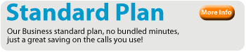 Business Line Standard Rental