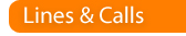 Line Rental and Calls